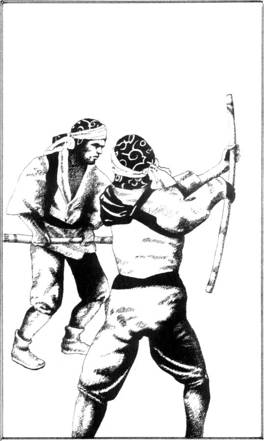 Die Chronik von Tornor 01 - Die Zwingfeste